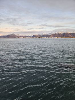 Super Jeep Frozen Glacier Lagoon Tour — photo 28