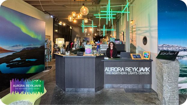 Aurora Reykjavík, The Northern Lights Center of Iceland - Museum Visit — photo 14