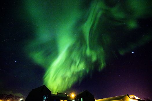 Northern Lights Private Tour — photo 4