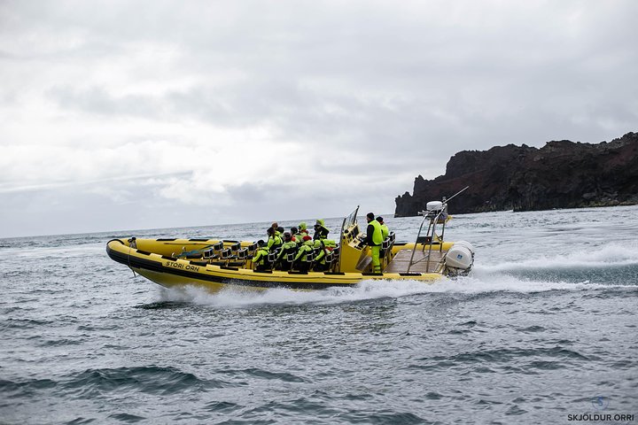 1-Hour Small Islands Trip, photo 6 of 8