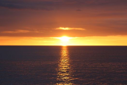 Reykjavík Classic Whales in the Midnight Sun — photo 9