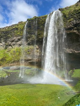 Famous south coast - Waterfalls and black beaches with a horse farm visit — photo 4