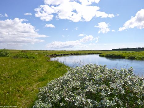Private Day Tour – Fly Fishing for Trout & Char in South Iceland — photo 6