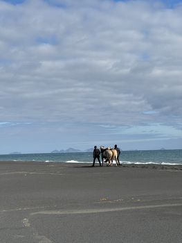 Black Sand Beach Riding Tour