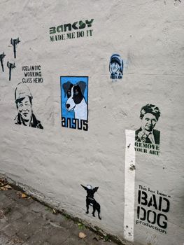 Private Reykjavik Street Art & Photo Friendly Walking Tour — photo 8