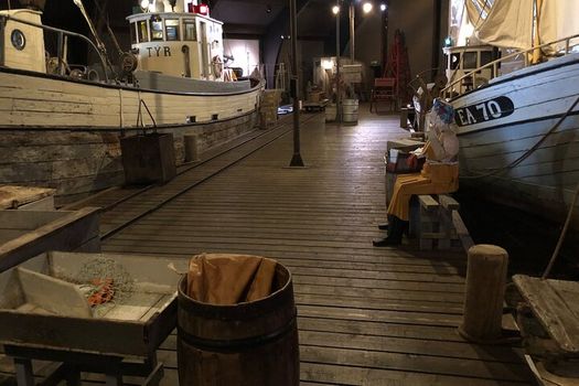 Arctic Coastline, Microbrewery and Culture Tour — photo 11