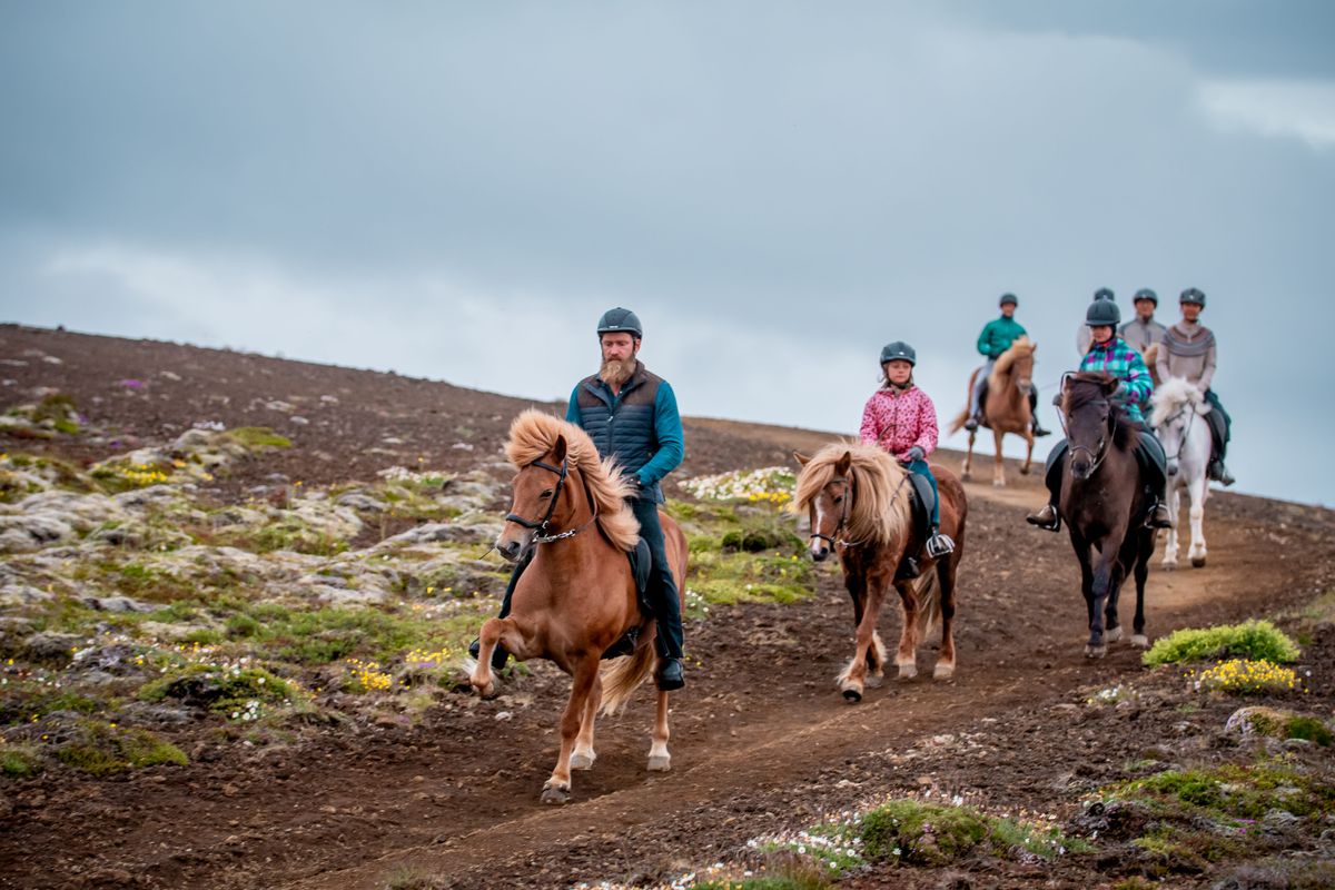 Viking Horses Mjölnir Afternoon Tour, photo 1 of 10