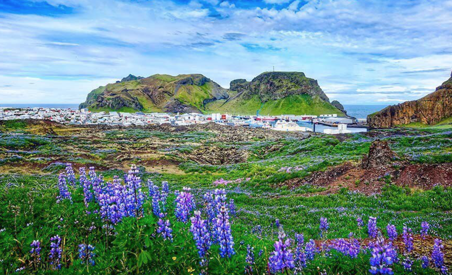 Vestmannaeyjar - The Westman Islands, photo 9 of 11