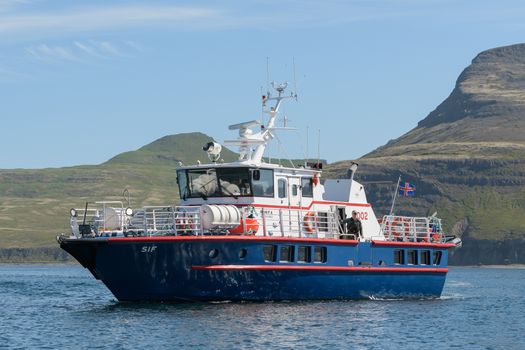 Whale Watching in Ísafjarðardjúp — photo 2