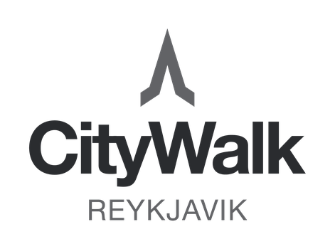 Reykjavik Walking Tour small group - CityWalk — photo 3