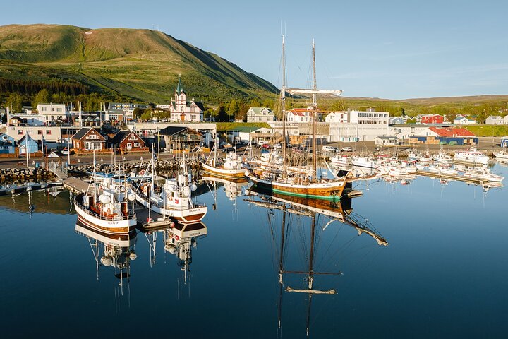 Húsavík Original Whale Watching, photo 5 of 9