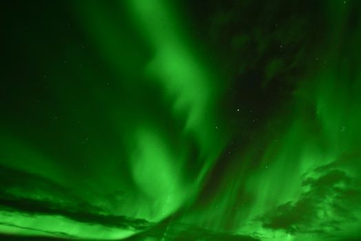 Magical Auroras - Northern lights in a minibus