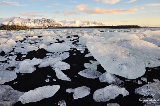 Glacier Lagoon Tour — photo 5
