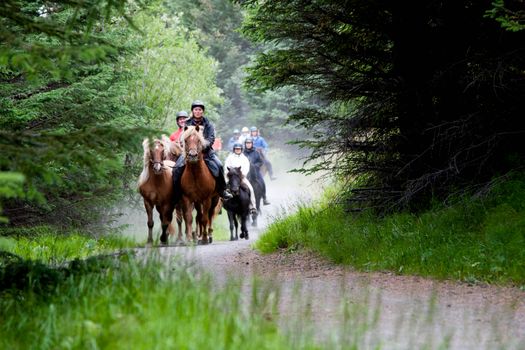 03C - Horses and Hot Springs — photo 6