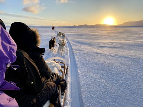 Dog Sledding Near Reykjavik — photo 18