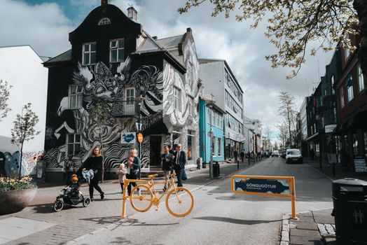 Private Reykjavik Street Art & Photo Friendly Walking Tour — photo 12
