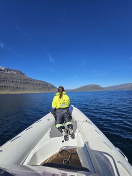 Exploring Djúpivogur - Nature and wildlife — photo 16