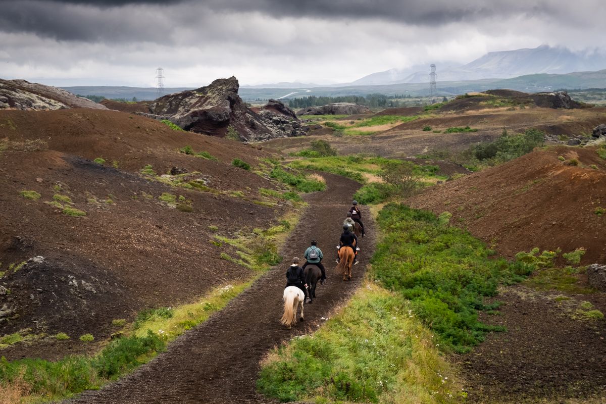Red Lava Horse Riding Tour - Reykjavík, photo 4 of 7
