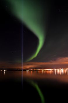 Whales & Auroras — photo 4