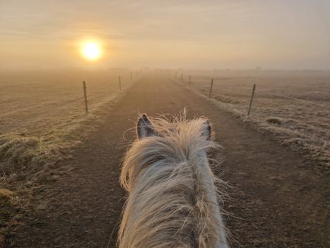 04D - Riding and Gullfoss, Geysir & Þingvellir — photo 9