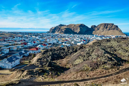 Vestmannaeyjar Day Tour — photo 16
