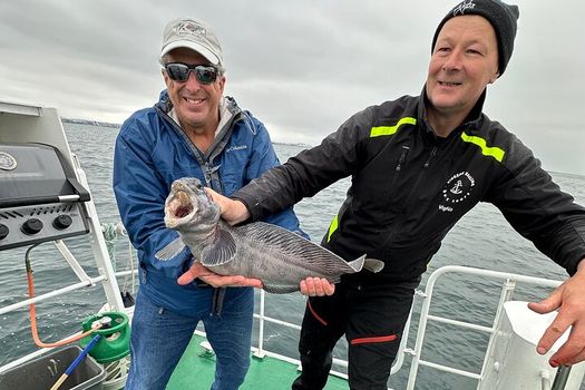 Reykjavik's Finest Catch: Guided Sea Angling Tour for All Levels — photo 13