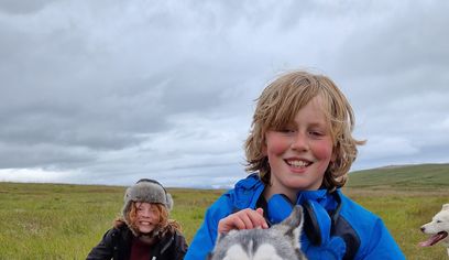 Siberian Husky dry land Dog sledding