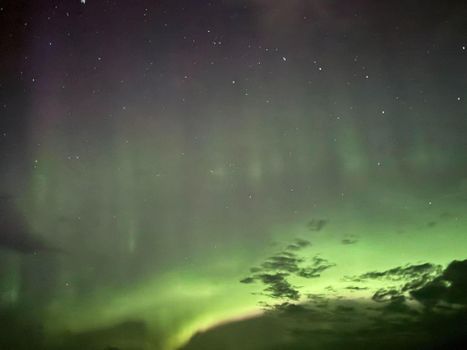 Northern Lights Tour Led by Local Hunters - Hotel pickup available — photo 11