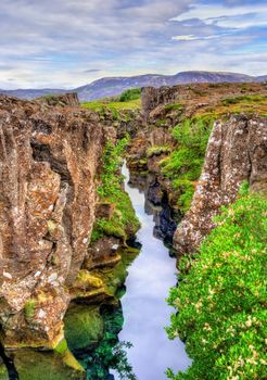 Golden Circle Tour, Horses & Blue Lagoon or Sky Lagoon — photo 6