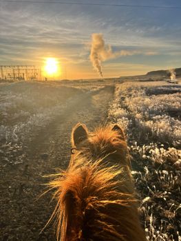 05C - Riding and Relaxation — photo 8