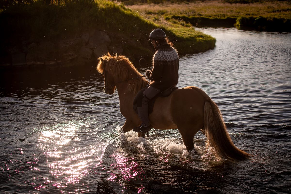 Viking Horses Sleipnir Evening Tour, photo 7 of 10