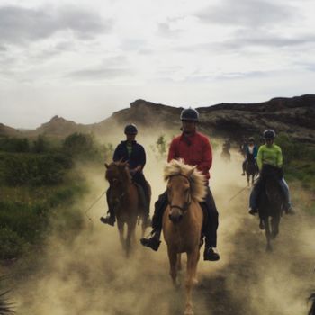Private riding tour - 2-6 persons — photo 4