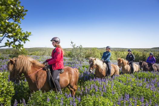 Horse Riding & Golden Circle — photo 15