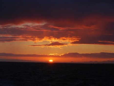 Reykjavík Premium Whales in the Midnight Sun — photo 8