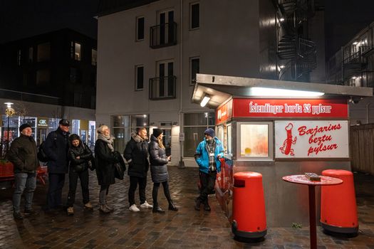 Private Reykjavik Harbor Food Tour — photo 10