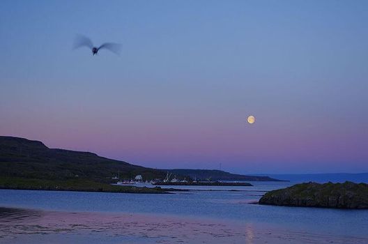 Strandir Adventure Private Tour — photo 9