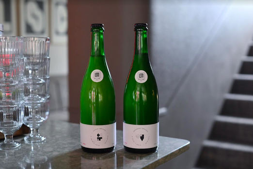 Icelandic Wild Ale Tasting  & Masterclass