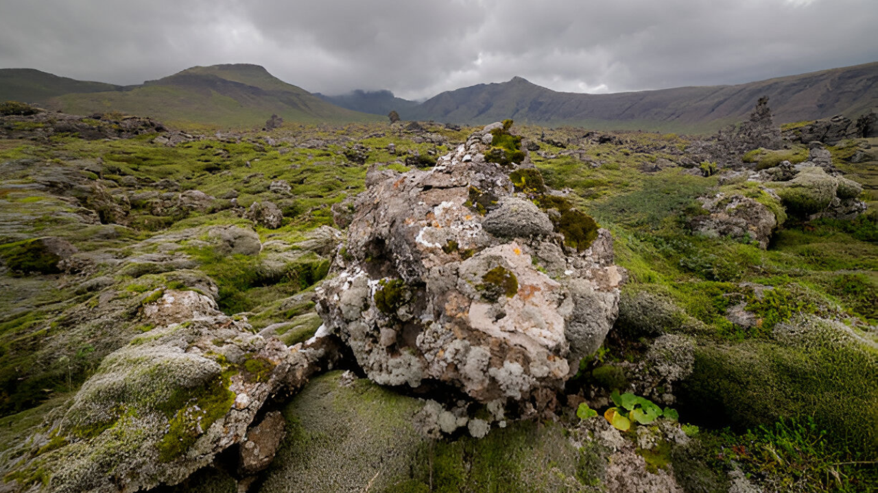Snaefellsnes Peninsula Adventure: Small Group from Reykjavik, photo 3 of 18