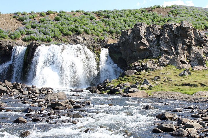 Private Silver Circle Tour with Hvamsvik Hot Springs — photo 10