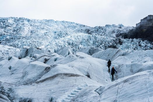 Glacier Encounter — photo 2