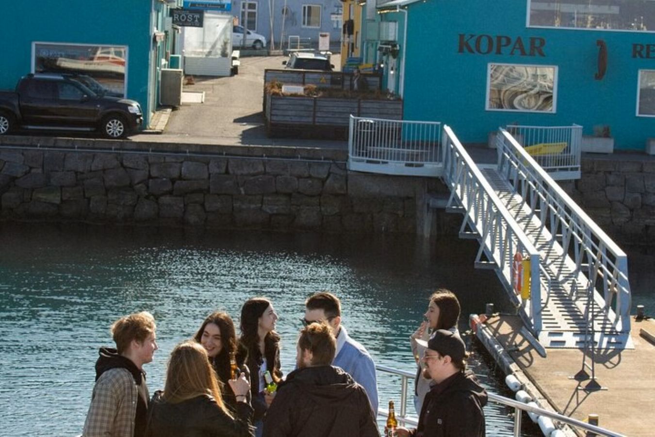 Harbor Cruise with Three Course Dinner from Reykjavik, photo 17 of 18