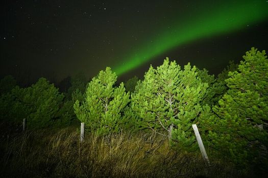 Icelandic Northern Lights Adventure with Local Guides — photo 5