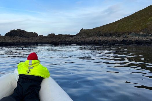 Viking Wildlife RIB Adventure — photo 25