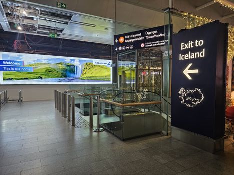 Golden Circle Private Tour with Faxafoss from Keflavik Airport — photo 30