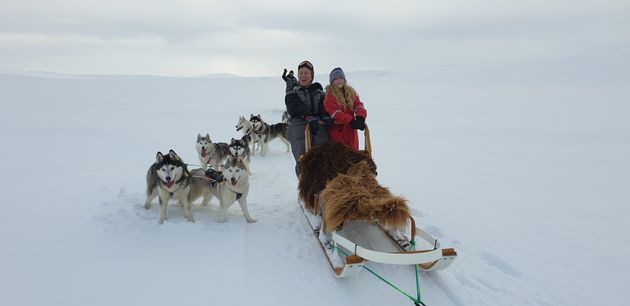 Siberian Husky Dog Sledding — photo 9