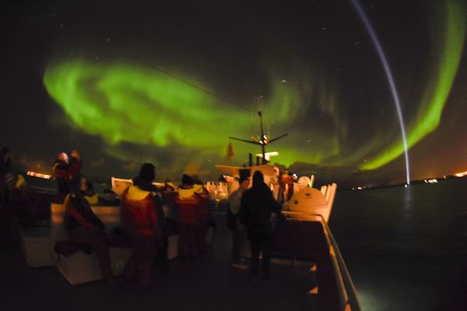 Reykjavík Northern Lights & City Cruise — photo 5