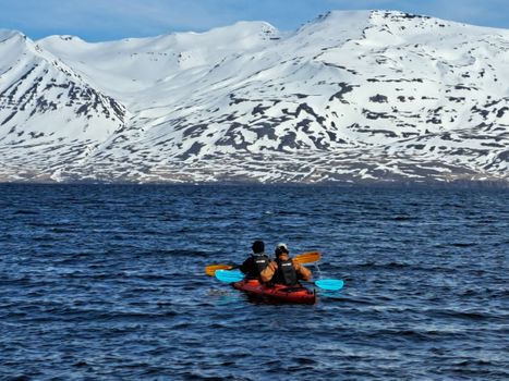 Guided Kayak Tour in Árskógssandur: Explore Coastline & Wildlife — photo 4