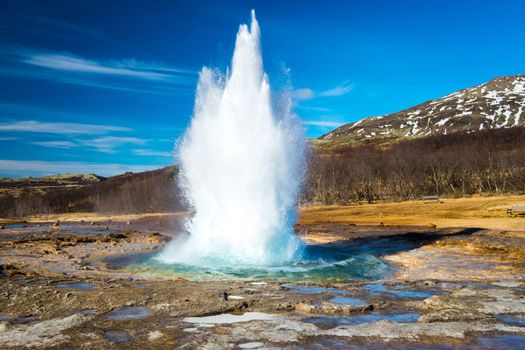 Exclusive Golden Circle Tour with Icelandic Farm Experience — photo 2