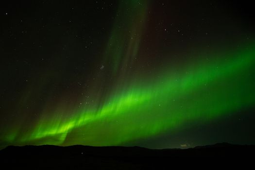Northern Lights in Mini Bus with Local Pastries, Hot Chocolate, and Photos — photo 15