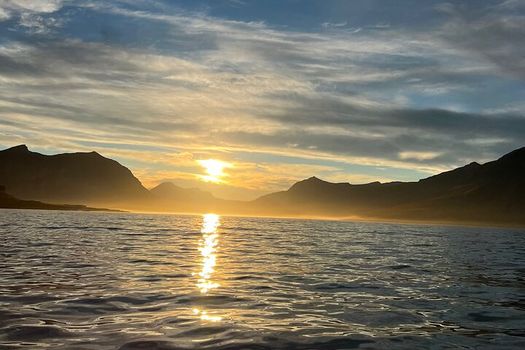 Viking Wildlife RIB Adventure — photo 22